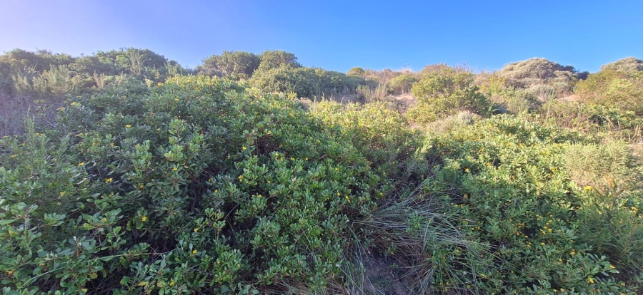 0 Bedroom Property for Sale in Hersham Western Cape